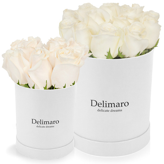 delimaro™,white roses in a box,white roses