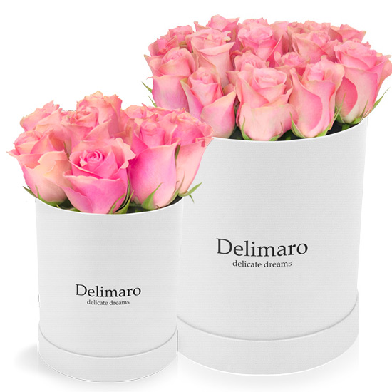 pink roses, white flower box,delimaro™