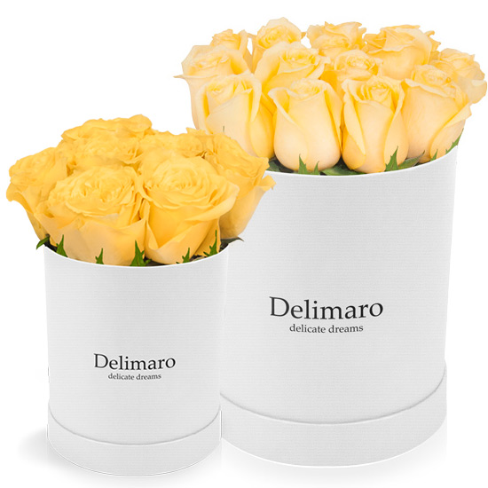 white flowerbox, roses in flower box,yellow roses